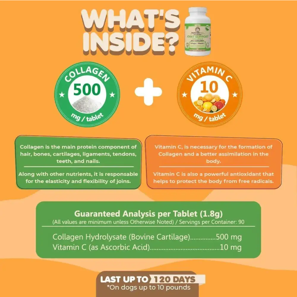 White plastic bottle with green and white label featuring ’collagen 500 mg/tablet’ and ’vitamin c 10 mg/tablet’ text.