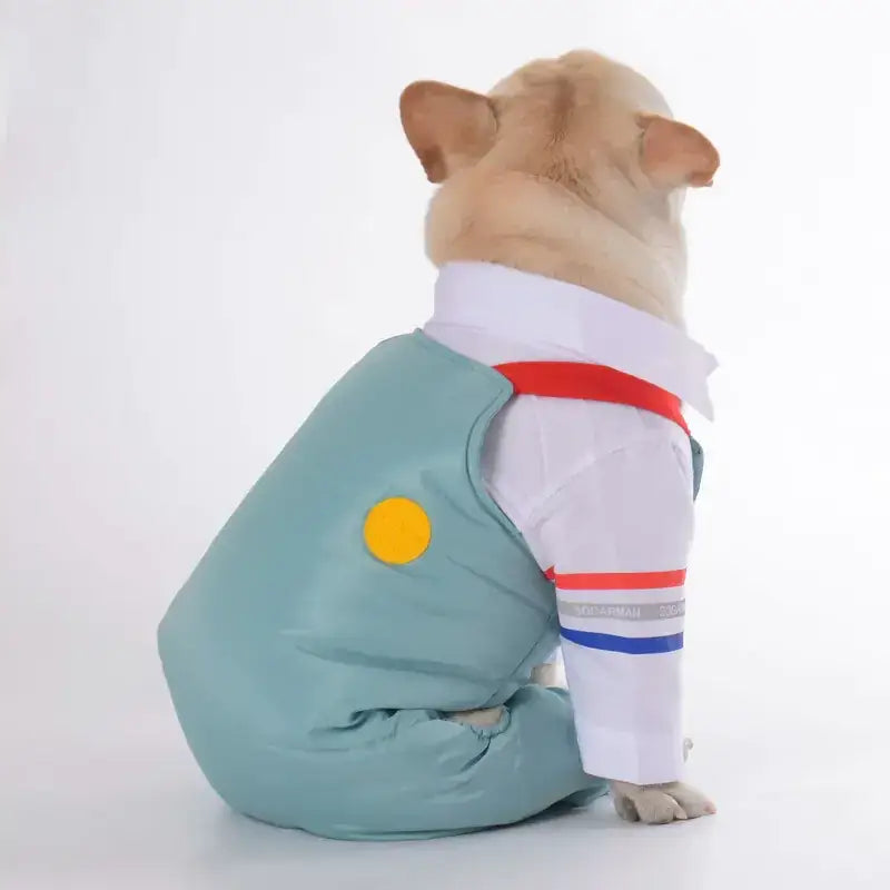 A light blue, padded dog outfit with a yellow circular patch and red-and-blue striped sleeves.
