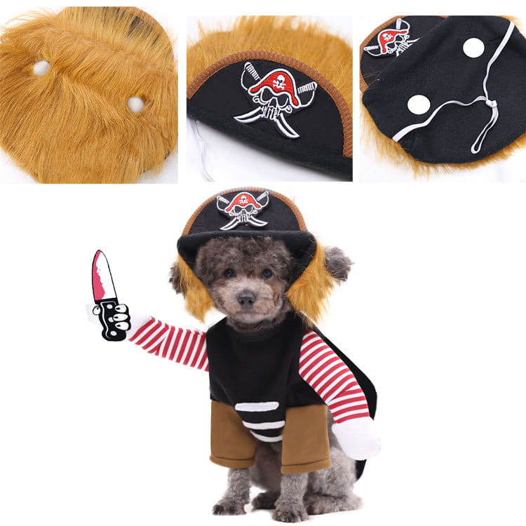 Pirate Pet Costume 5