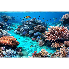 Riivvdise Undersea Aquarium Background Beautiful Coral and Fish Terrarium Backdrop Coral Reef Tropical Sea Hard Corals Fish Tank Background Underwater Plants Aquarium Poster Background Vinyl 60x24in