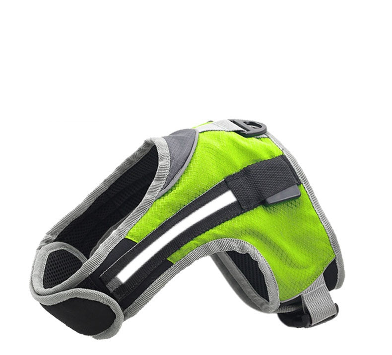 Pet Dog Leash for Walking and Training