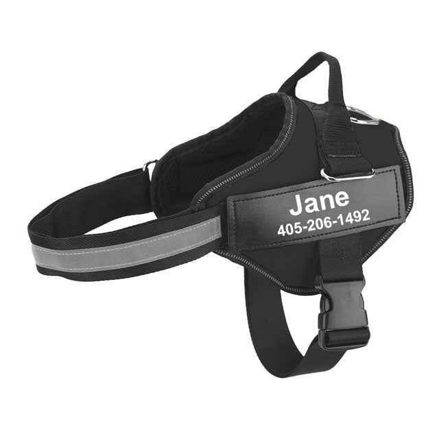 Dog Harness, Pet Chest Strap, Leash