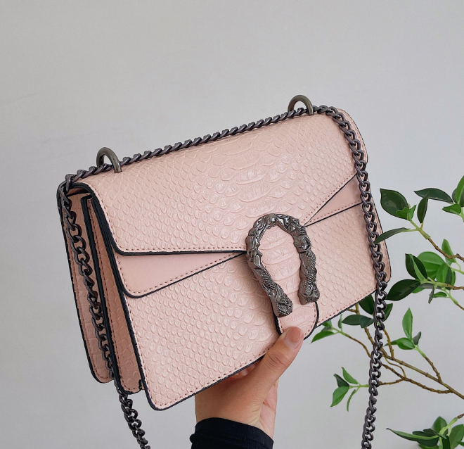 Trendy Women's Mini Shoulder Bag with Chain Strap