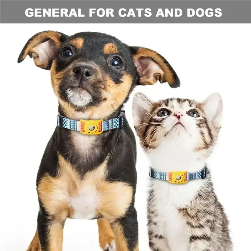 Blue and black patterned pet collar with a bright yellow buckle.