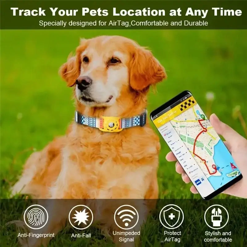 A golden retriever wearing a blue and white checkered collar with a yellow airtag tracker attached.
