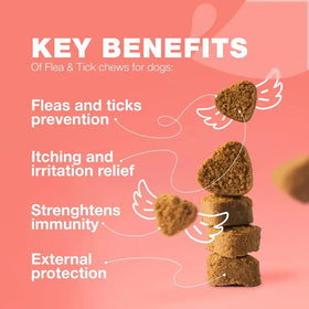 Dog Flea And Tick Treatment Chews FleaTick Prevention For Dogs Chewables Natural Dog Flea & Tick Control Soft Treats Immune Support Supplement CANNOT Be Listed For Sale On Amazon