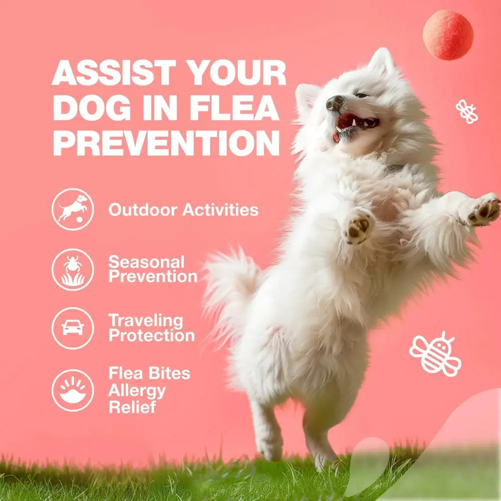 Dog Flea And Tick Treatment Chews FleaTick Prevention For Dogs Chewables Natural Dog Flea & Tick Control Soft Treats Immune Support Supplement CANNOT Be Listed For Sale On Amazon
