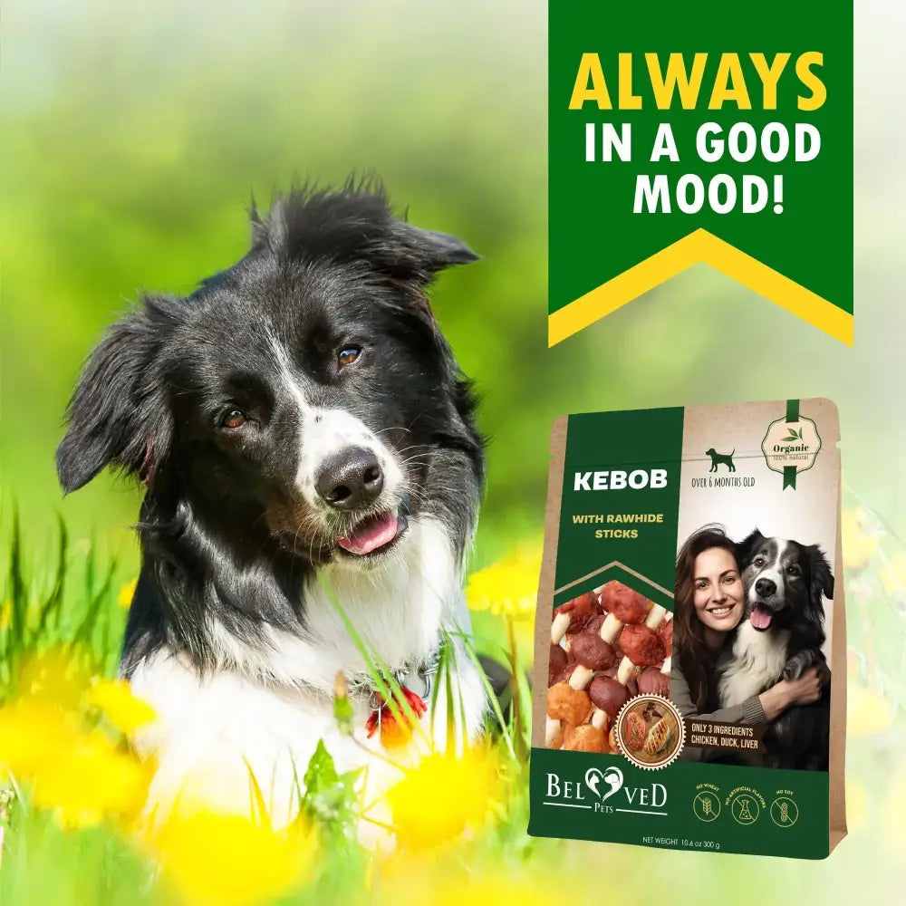 A bag of beloved pets kebob dog treats with rawhide sticks, featuring a green and beige design and an image of a smiling woman holding a black and white border collie.