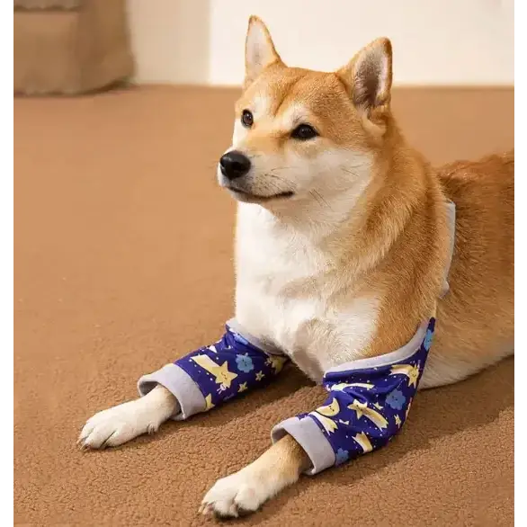 Dogs Knee Protector Pad