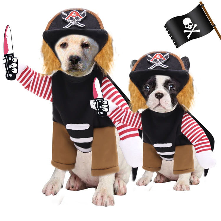 Pirate Pet Costume 6