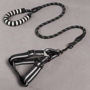 Dog Leash and Chest Harness for Pet Supplies