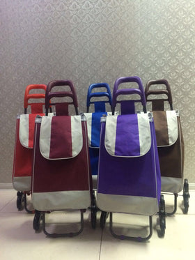 Folding Two-Wheel Shopping Cart with Seat for Seniors