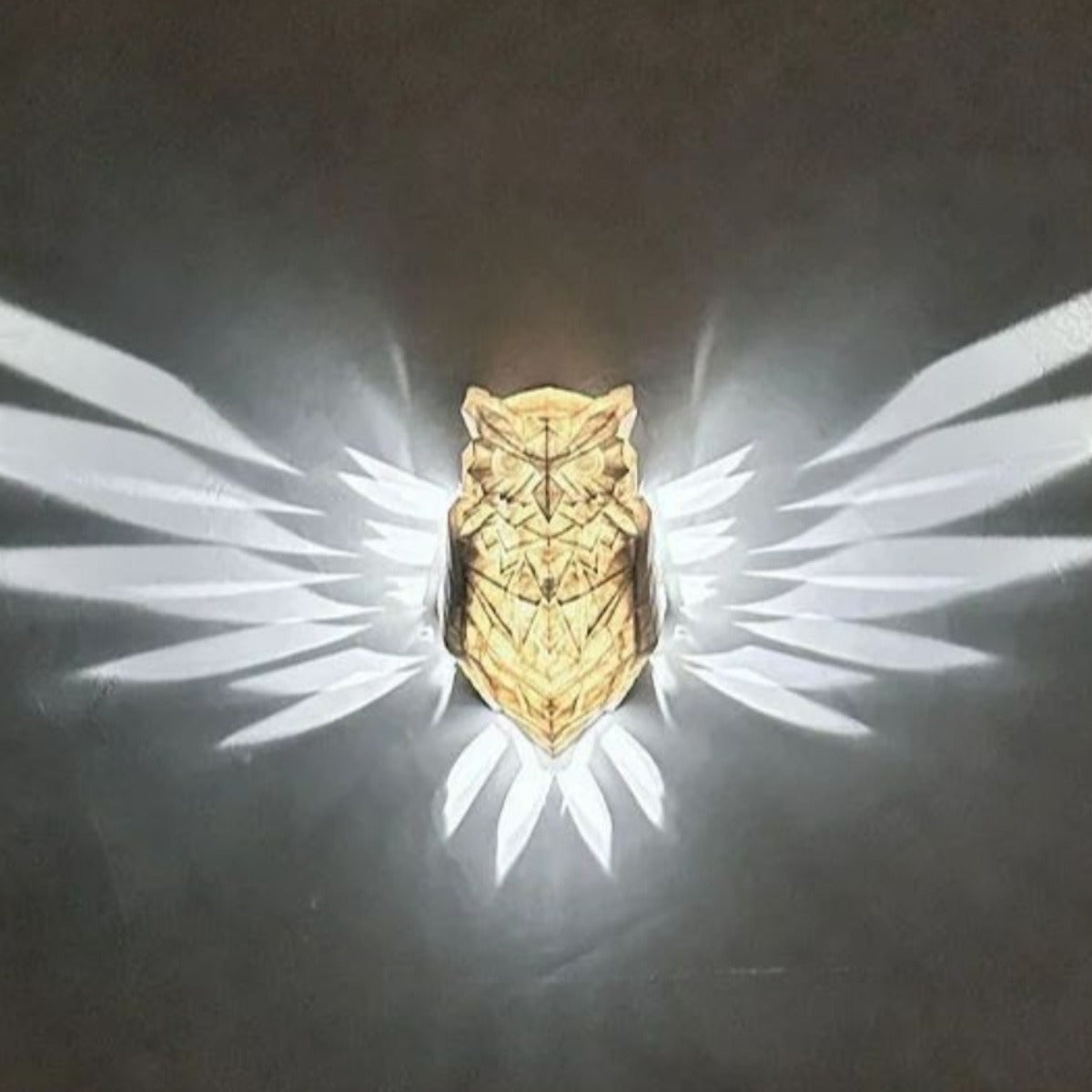 Eagle wall lamp indoor magnetic suction（private listing U2792714）