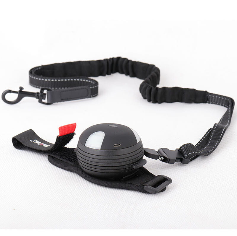 Automatic Telescopic Leash for Pets