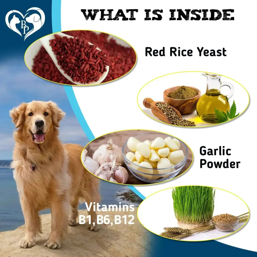 Flea And Tick Prevention Chewable Pills For Dogs And Cats Pest Control & Natural Defense Chewables Small Tablets Beef Taste CANNOT Be Listed For Sale On Amazon