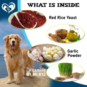 Flea And Tick Prevention Chewable Pills For Dogs And Cats Pest Control & Natural Defense Chewables Small Tablets Beef Taste CANNOT Be Listed For Sale On Amazon