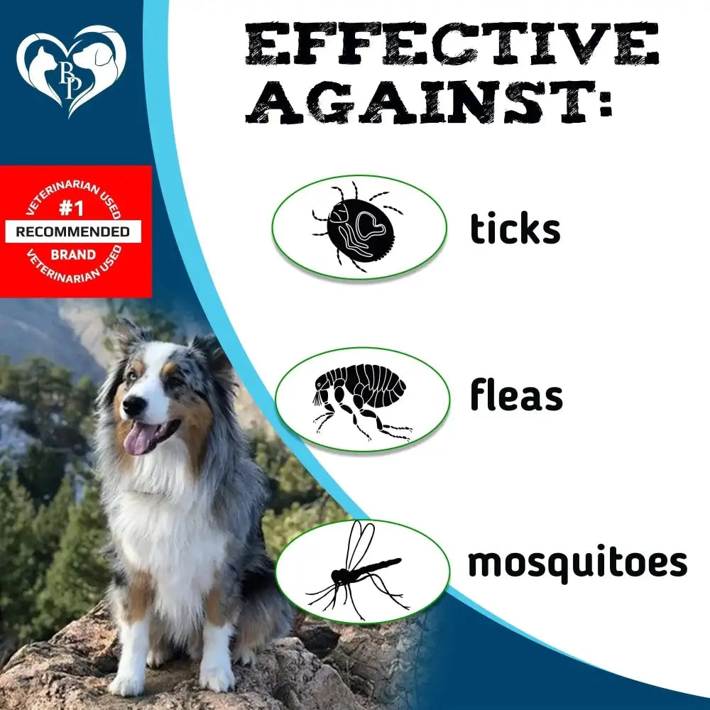 Flea And Tick Prevention Chewable Pills For Dogs And Cats Pest Control & Natural Defense Chewables Small Tablets Beef Taste CANNOT Be Listed For Sale On Amazon