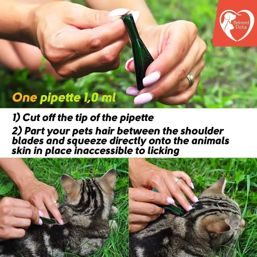 Flea And Tick Prevention For Dogs Cats Rabbits Natural Flea Treatment Home Pest Control Topical Flea Mosquito Repellent For Puppy Kitten 3 Drops For Small And Large Pet