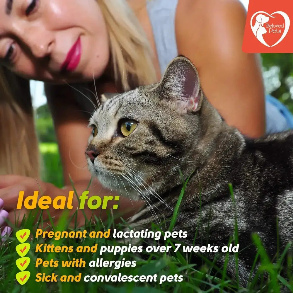Flea And Tick Prevention For Dogs Cats Rabbits Natural Flea Treatment Home Pest Control Topical Flea Mosquito Repellent For Puppy Kitten 3 Drops For Small And Large Pet