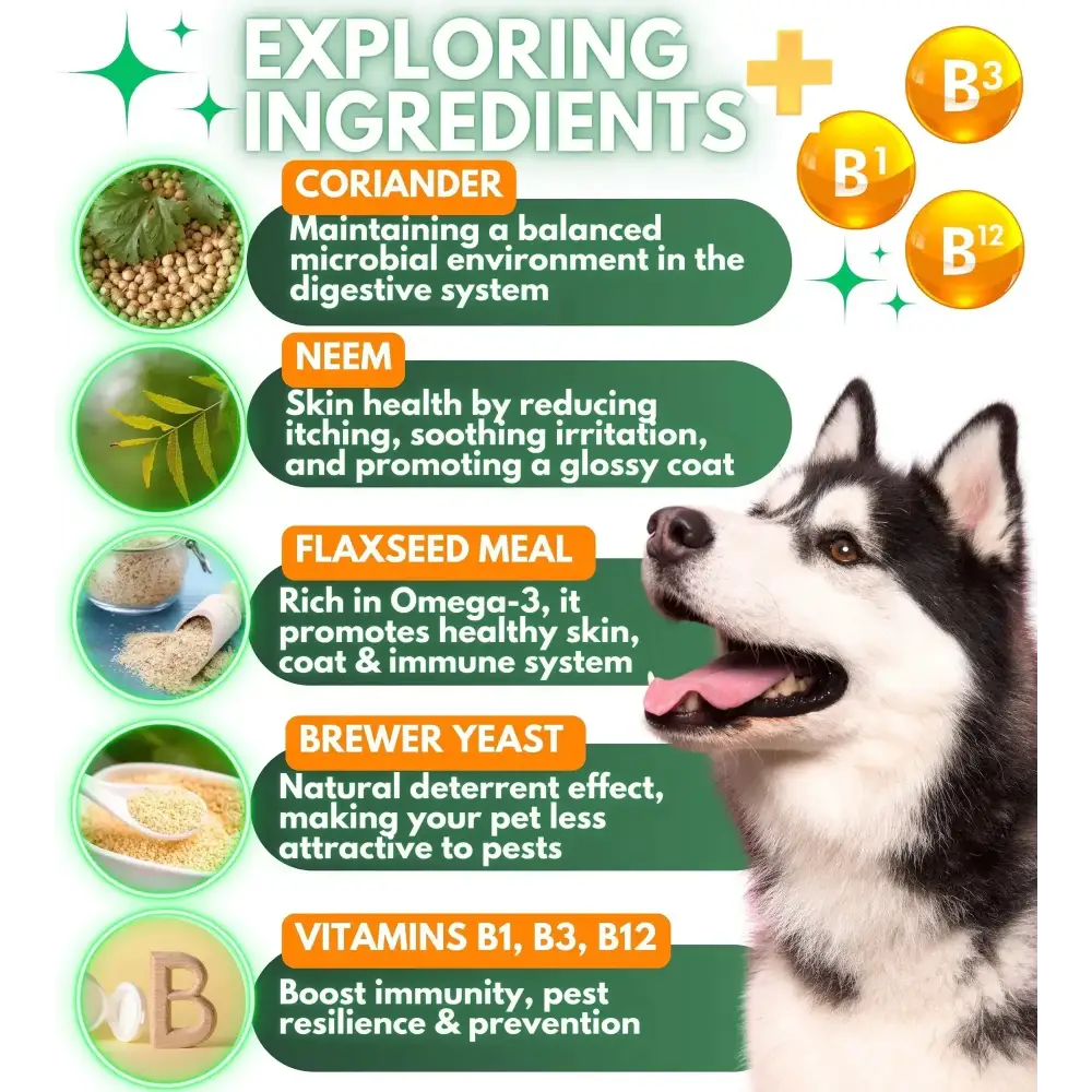 Flea And Tick Prevention For Dogs Chewables Natural Dog Flea And Tick Control Supplement Flea & Tick Chews For Dogs Oral Flea Pills For Dogs Pest Defense All Life Stages CANNOT Be Listed For Sale