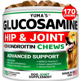 Yuma’s glucosamine hip & joint chews in a white cylindrical container with green and red accents, featuring 170 chicken-flavored soft chews for dog joint support.