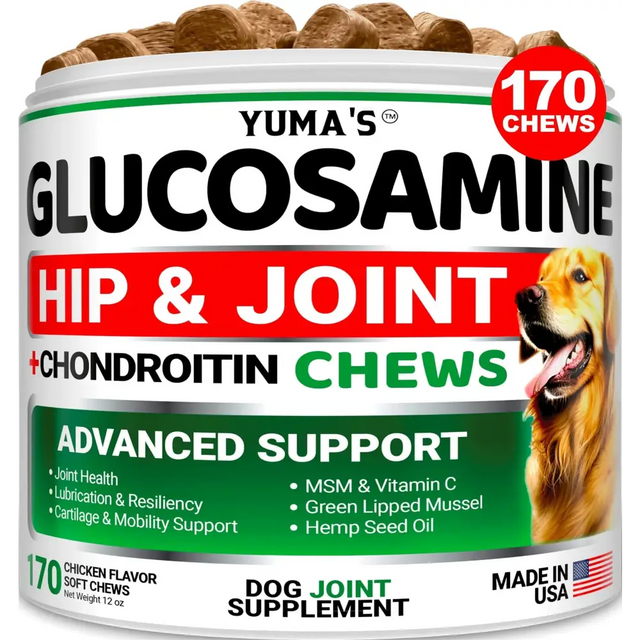 Yuma’s glucosamine hip & joint chews in a white cylindrical container with green and red accents, featuring 170 chicken-flavored soft chews for dog joint support.