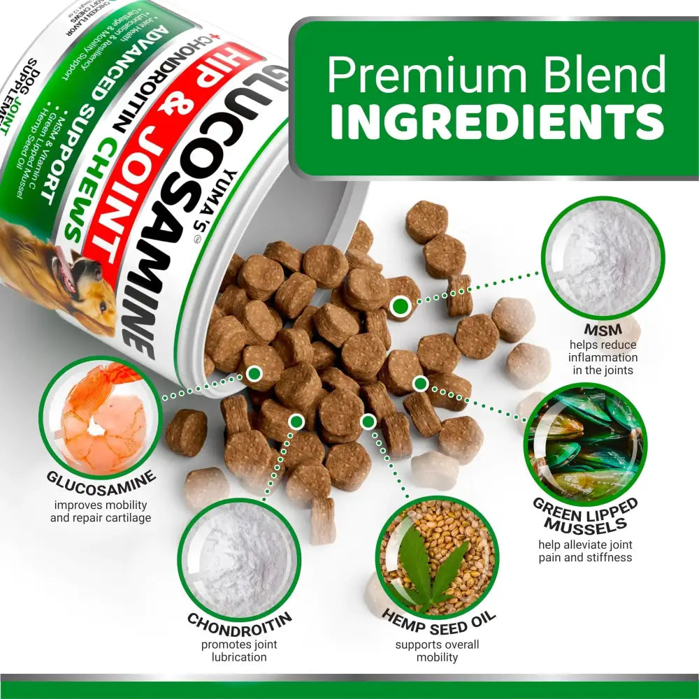 Brown, round dog joint support chews spilling from a white and green labeled container.