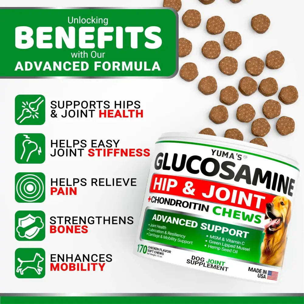 A white and green cylindrical container of yuma’s glucosamine hip & joint chews for dogs, featuring a label with red accents and an image of a golden retriever.
