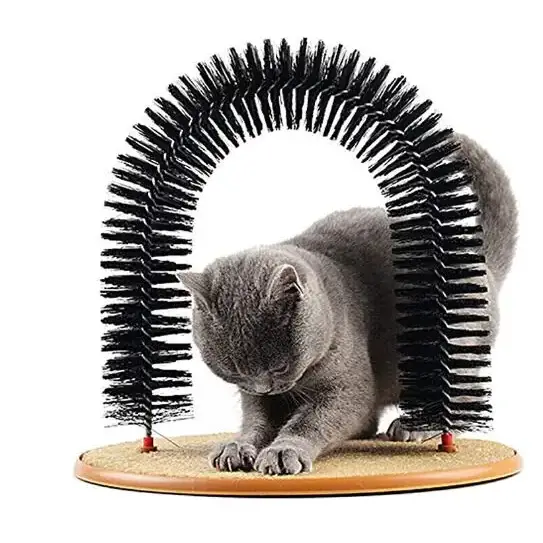Black bristle arch cat toy with a wooden base.