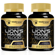 Lions Mane Supplement Capsules - 120 Count - Mushroom Supplement Brain Supplements for Memory and Focus Lions Mane Mushroom Capsules - Cognitive and Immune Support Focus Supplement - Pack of 2
