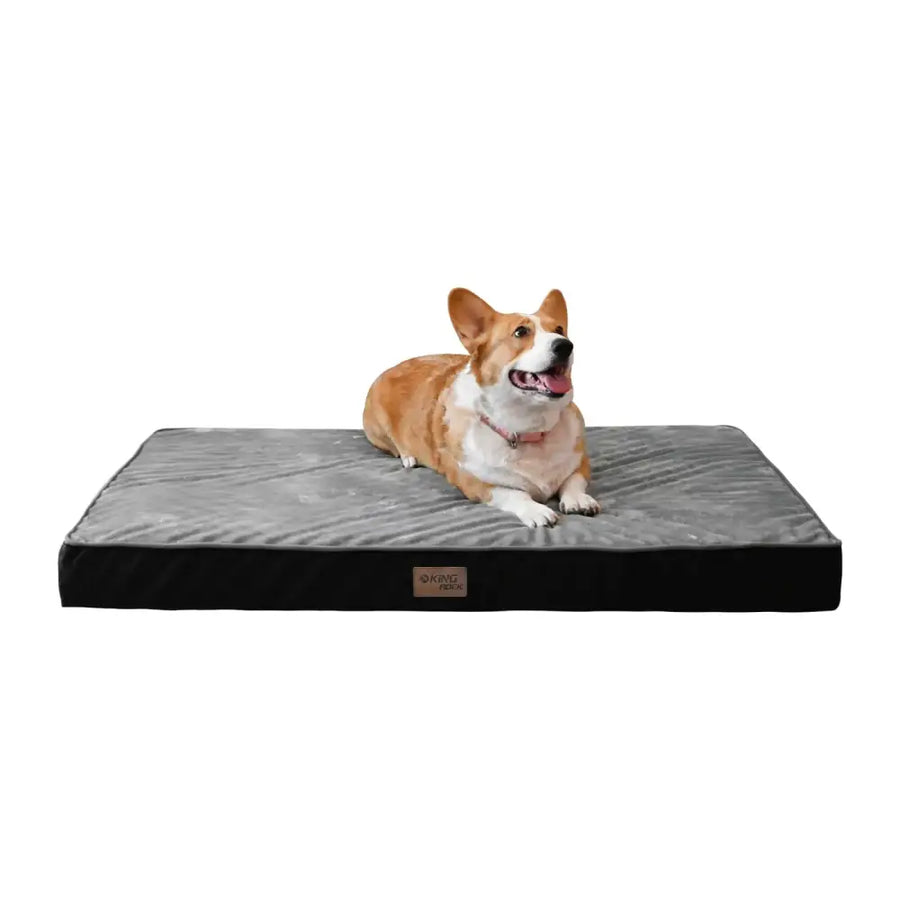 Gray plush dog bed with black trim and a small brown label on the side.