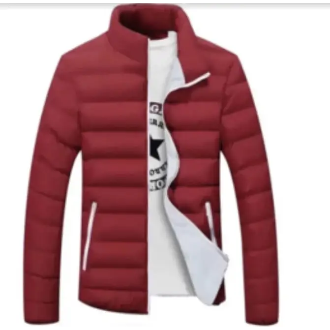 Men's Thick Cotton Jacket - Warm Winter Down Coat