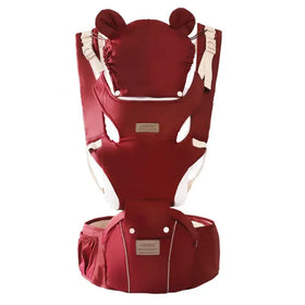 Multi-Functional Baby Carrier for All Seasons