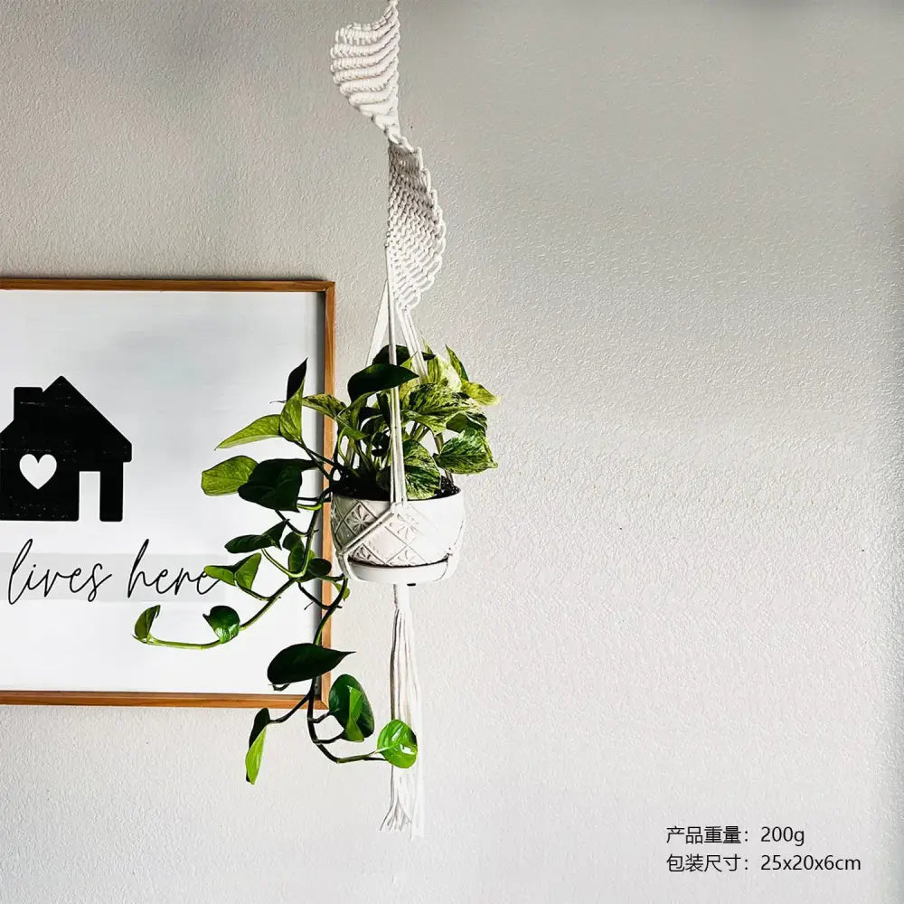 White macrame plant hanger with a woven, textured design holding a green leafy vine in a white ceramic pot.