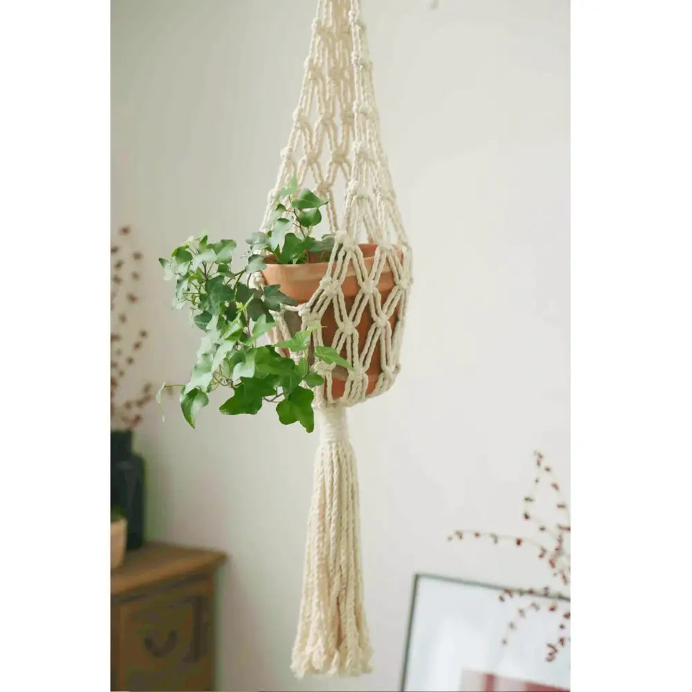 Cream-colored macrame hanging plant hanger with a terracotta pot and trailing green ivy.