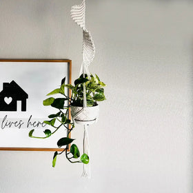 White macrame plant hanger with a woven, textured design holding a potted green vine.