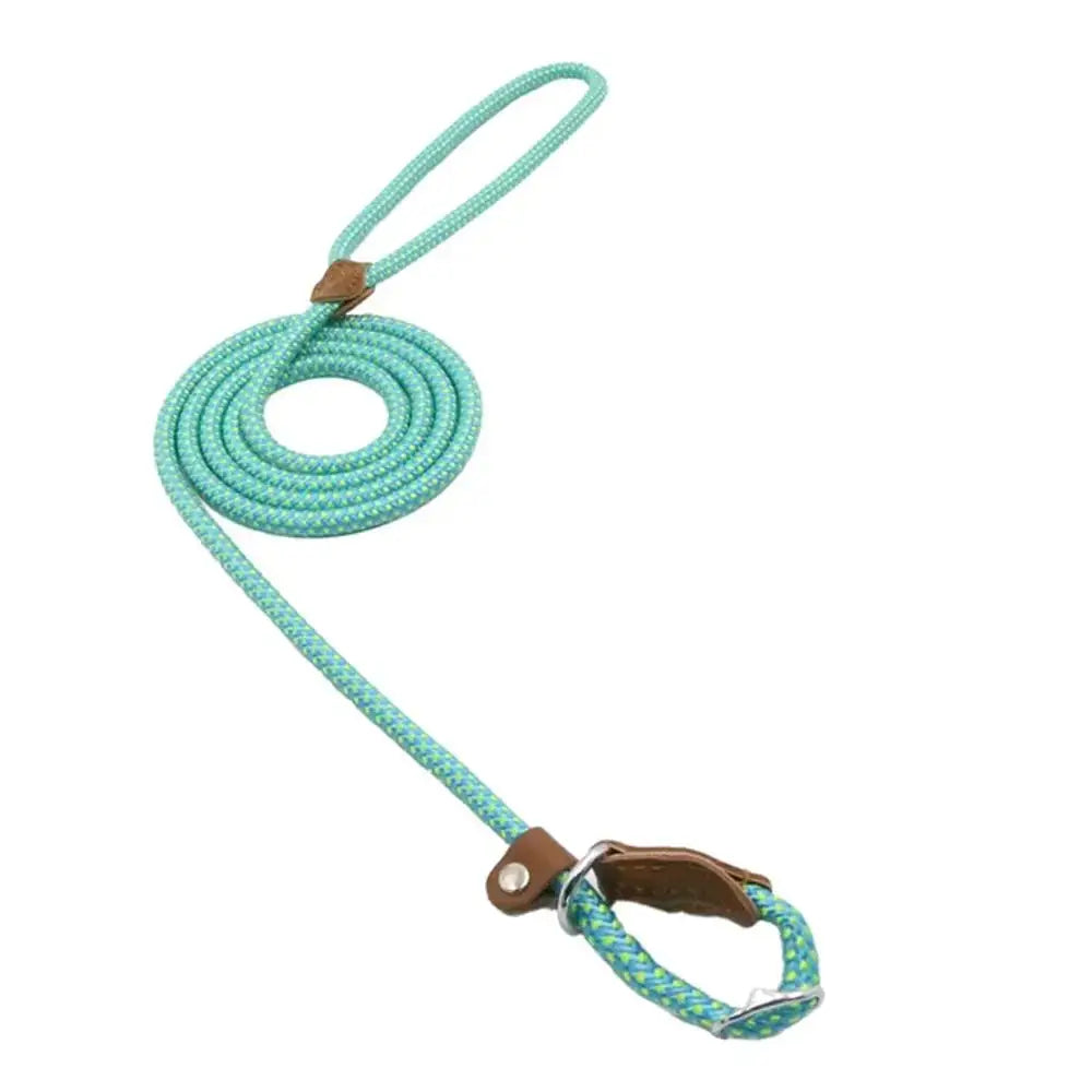 A mint green braided rope leash with brown leather accents and a metal clasp.