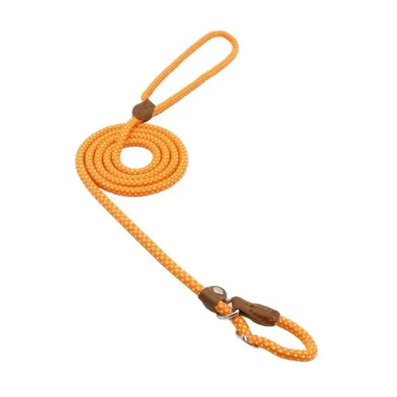 Bright orange braided rope leash with brown leather accents and a metal clasp.