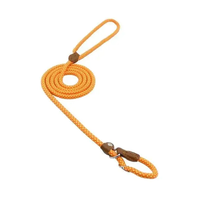 Bright orange braided rope leash with brown leather accents and a metal clasp.