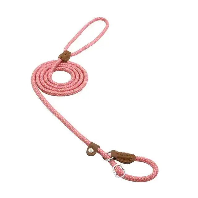 Pink braided rope dog leash with brown leather accents and a metal clasp.