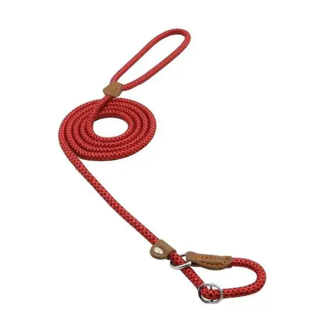 Red braided rope leash with brown leather accents and a metal ring.