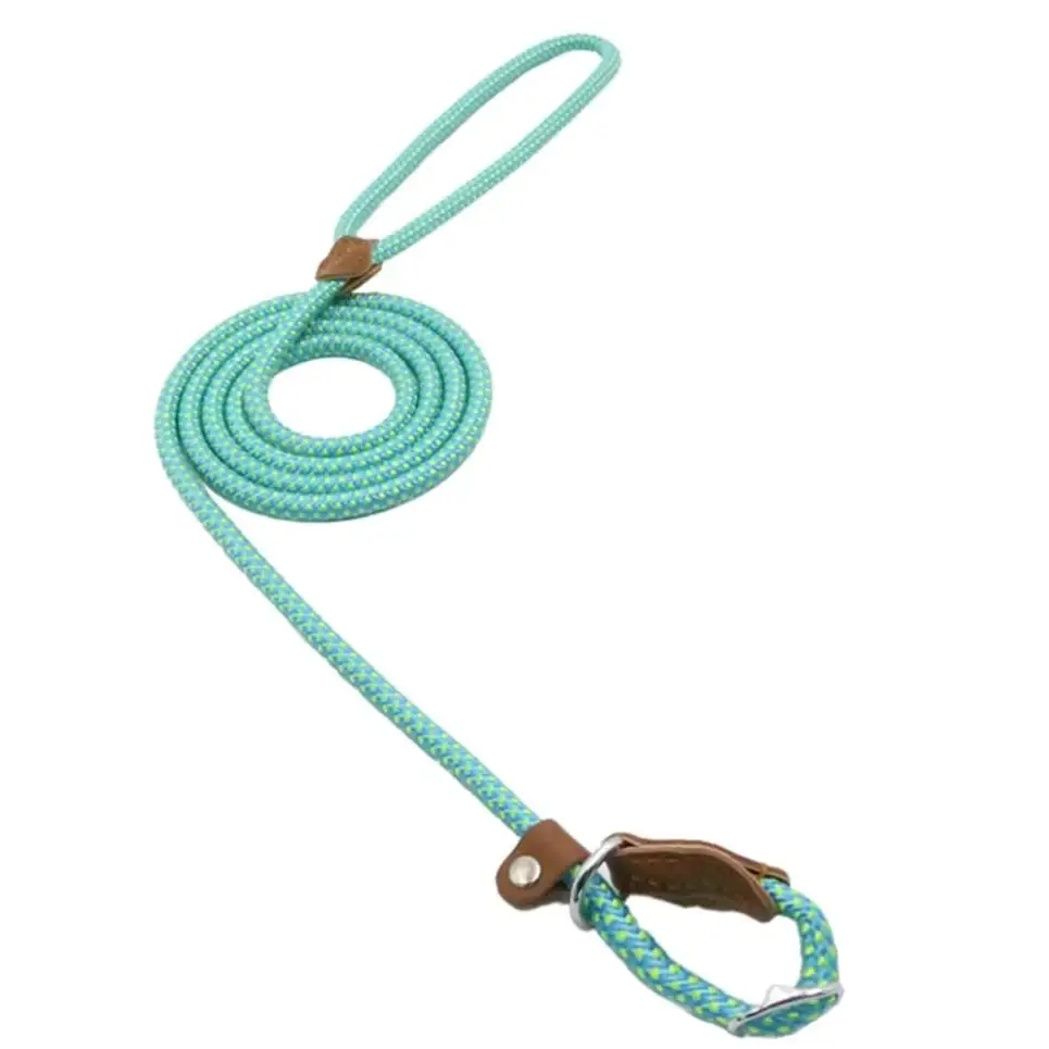 A teal braided rope dog leash with brown leather accents and a metal clasp.