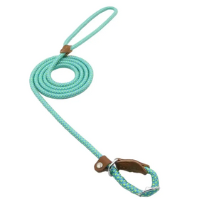 A teal braided rope dog leash with brown leather accents and a metal clasp.