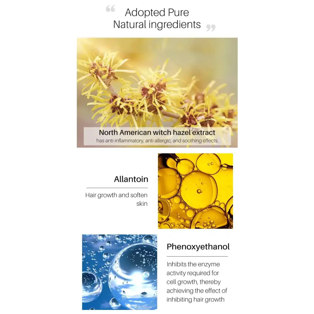 The image displays a close-up of delicate, feathery yellow flowers with brownish centers on slender stems.