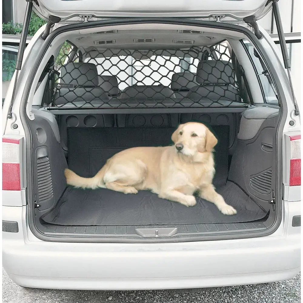 Black mesh cargo net for car trunk
