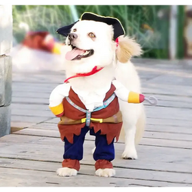 White dog wearing a pirate costume with a black tricorn hat, brown vest over blue pants, and yellow gloves holding a toy hook.