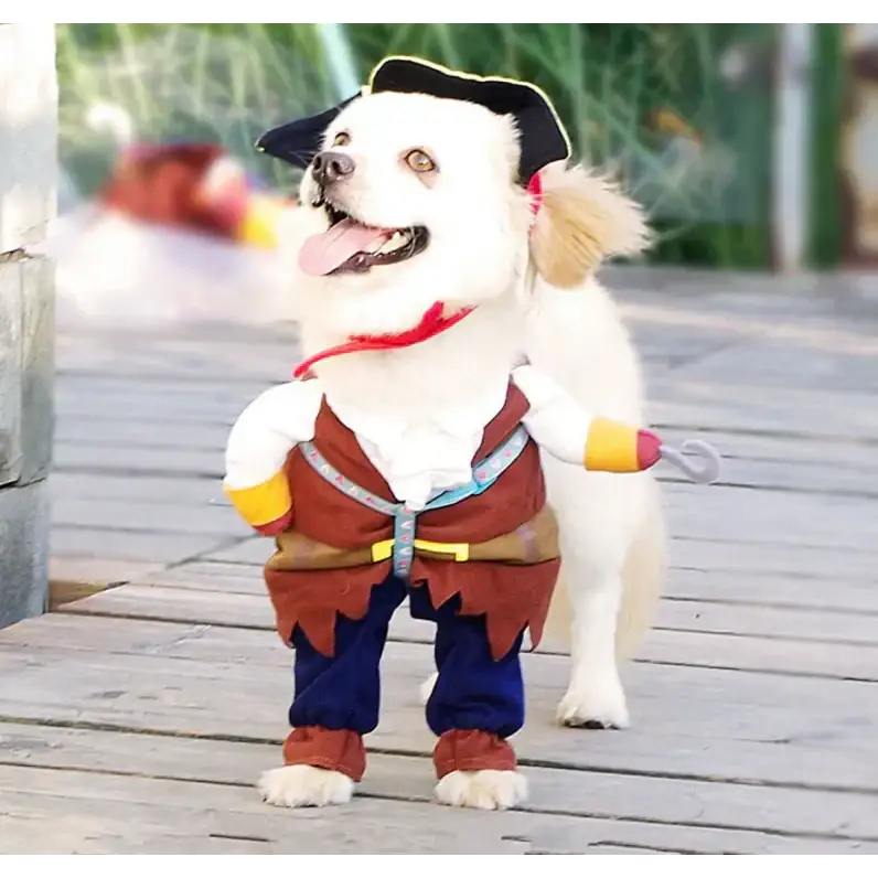 White dog wearing a pirate costume with a black tricorn hat, brown vest over blue pants, and yellow gloves holding a toy hook.