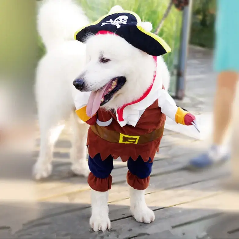 White dog wearing a pirate costume with a black hat featuring a skull and crossbones, brown vest, blue pants, and yellow accents.