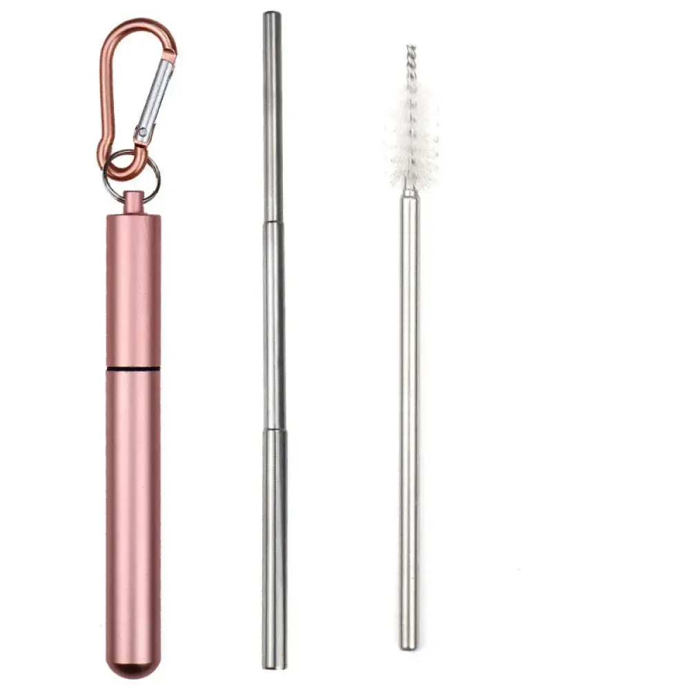 Portable Stainless Steel Telescopic Straw