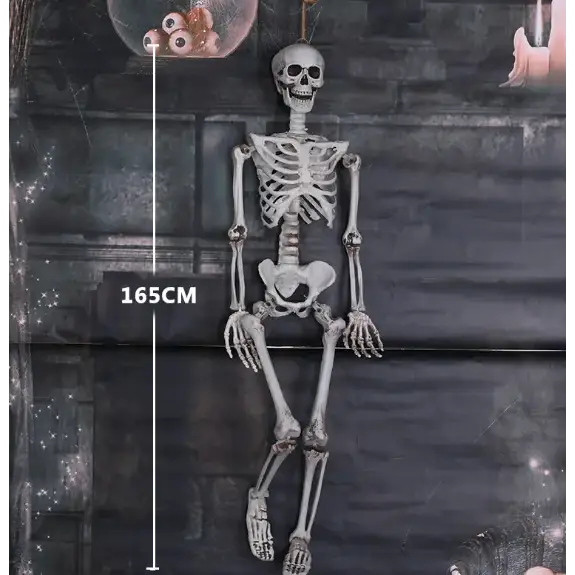 A 165cm tall white plastic skeleton hanging decor with detailed bone structure and articulated joints.